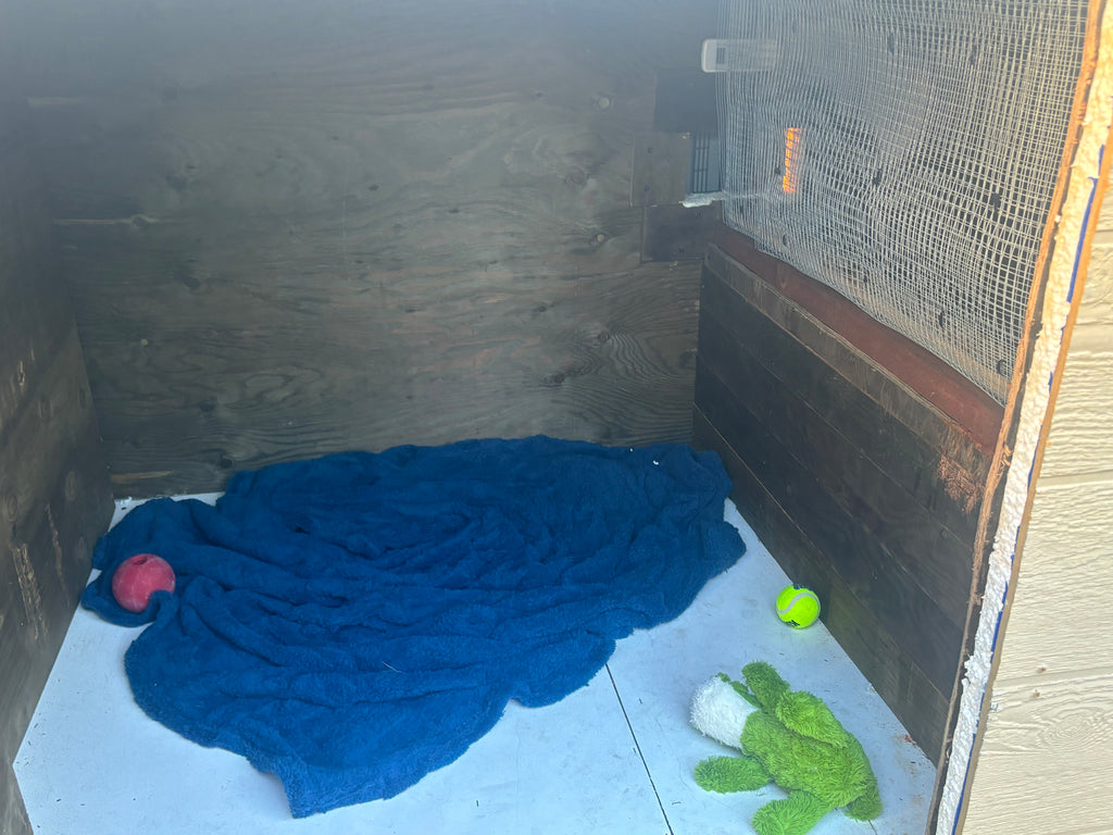 Custom Dog House