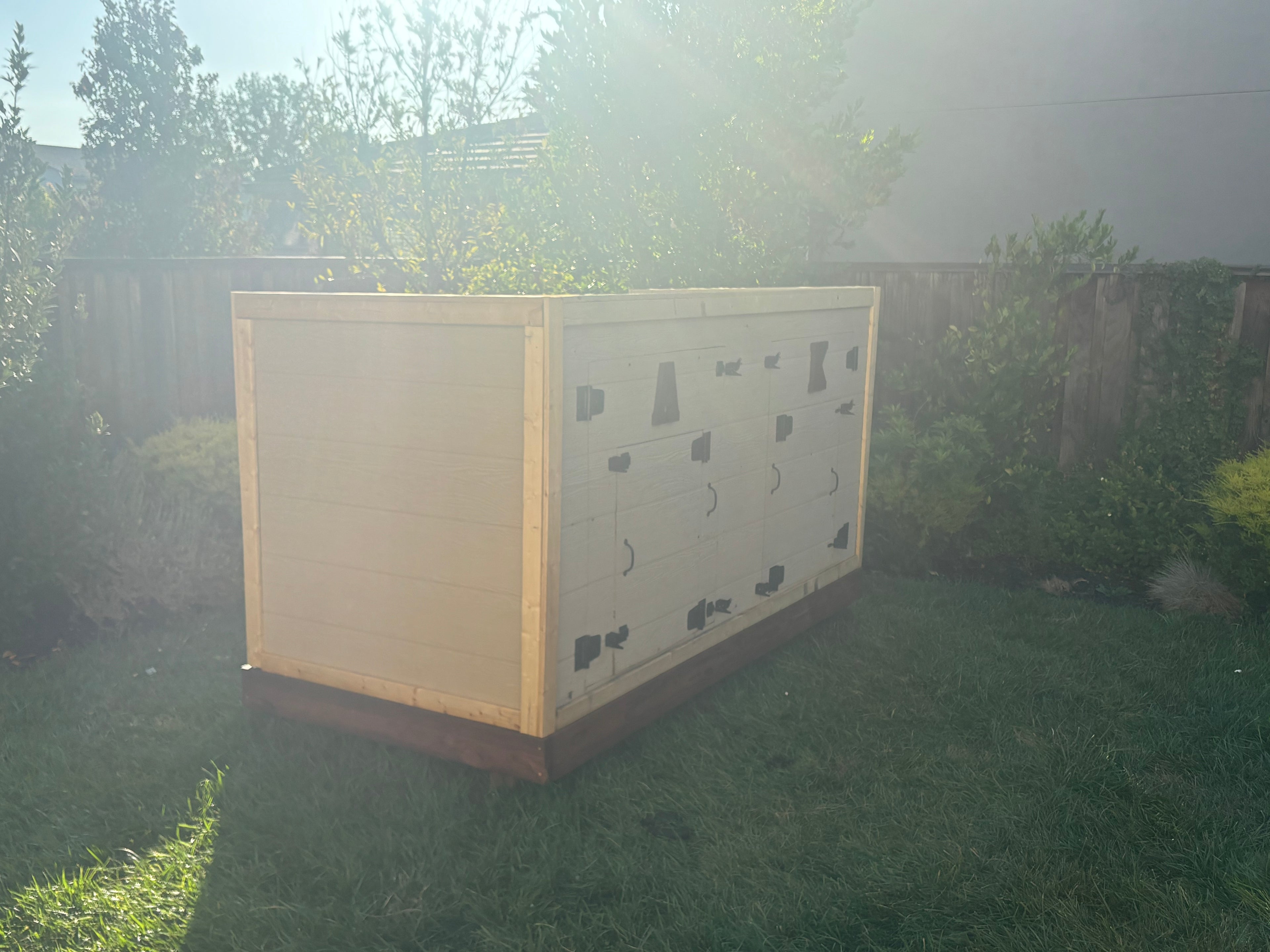 Custom Dog House